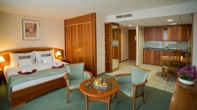 Hotel Palace Heviz