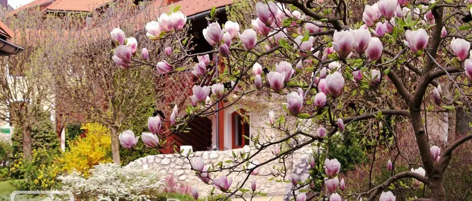 Club Dobogomajor Cserszegtomaj