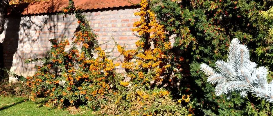 Ametiszt Hotel Harkany