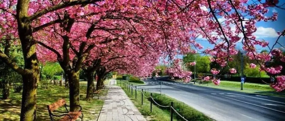 Arany Apartmanhaz Zalagyongye Zalakaros