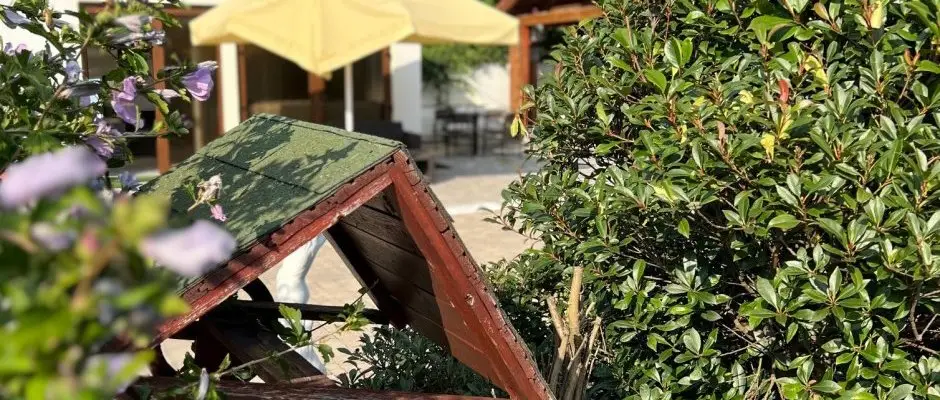 Bajor Pension Aparthotel Bk, Bkfrd