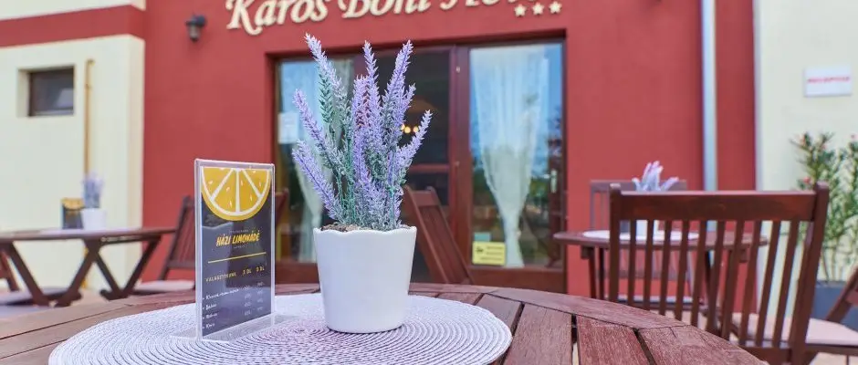 Boni Family Wellness Hotel Zalakaros