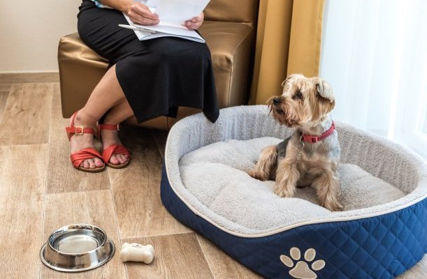 Bonvital Wellness & Gastro Hotel Heviz Bonvital Wellness & Gastro Hotel Heviz