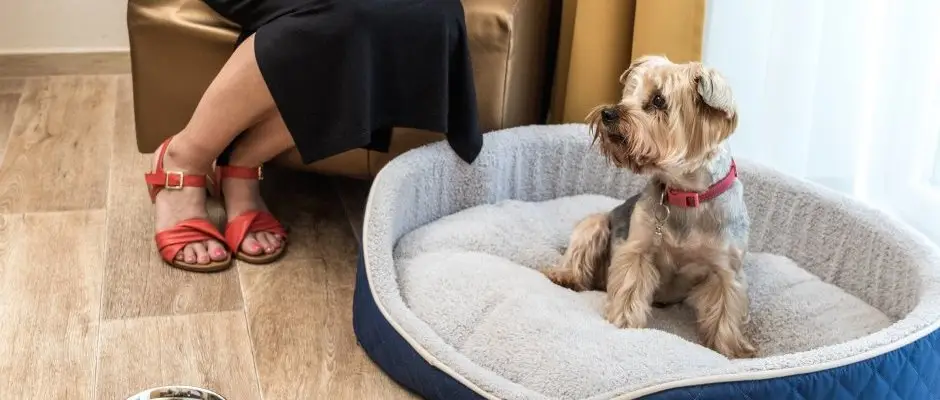 Bonvital Wellness & Gastro Hotel Heviz