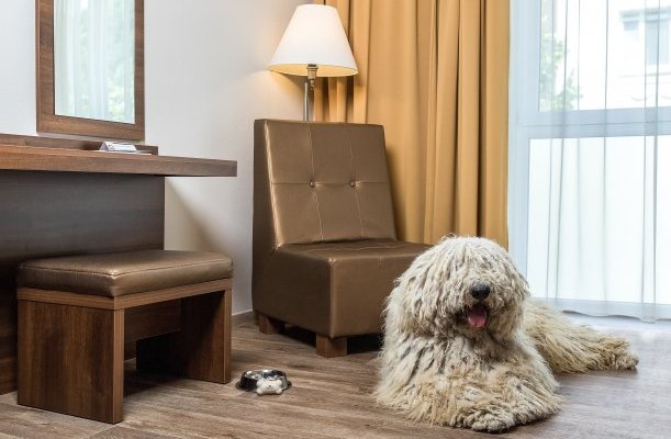 Bonvital Wellness & Gastro Hotel Heviz Bonvital Wellness & Gastro Hotel Heviz