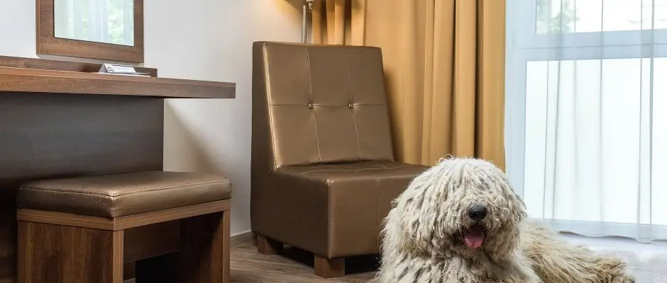 Bonvital Wellness & Gastro Hotel Heviz