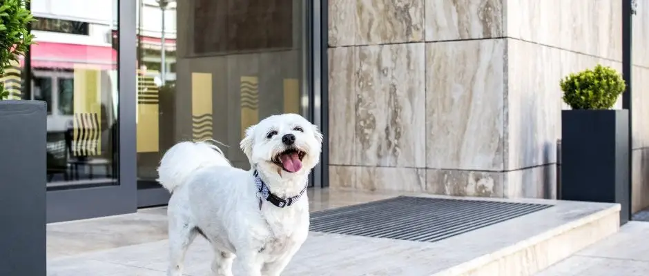 Bonvital Wellness & Gastro Hotel Heviz