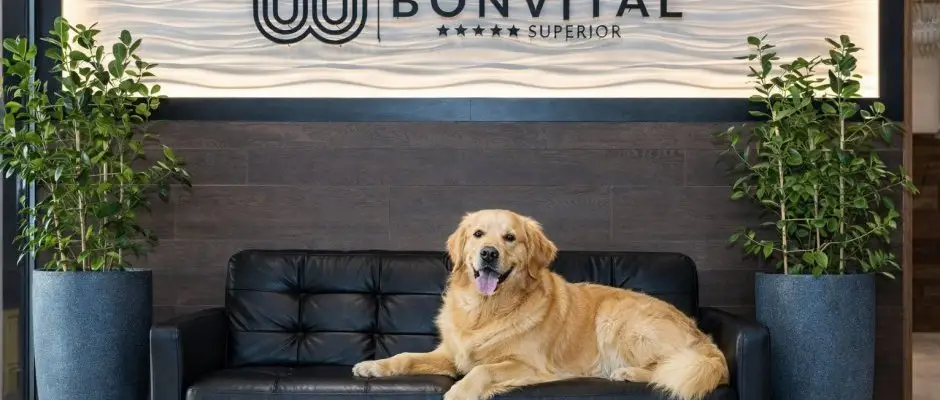 Bonvital Wellness & Gastro Hotel Heviz