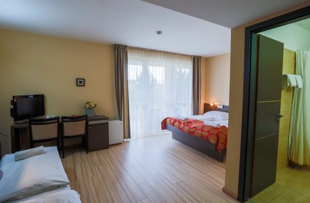 CE Plaza Hotel Siofok CE Plaza Hotel Siofok