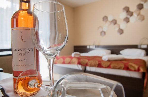 CE Plaza Hotel Siofok CE Plaza Hotel Siofok