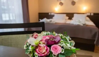 CE Plaza Hotel Siofok