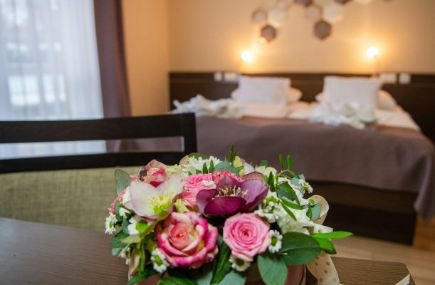 CE Plaza Hotel Siofok CE Plaza Hotel Siofok