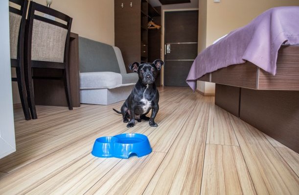 CE Plaza Hotel Siofok CE Plaza Hotel Siofok