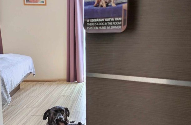 CE Plaza Hotel Siofok CE Plaza Hotel Siofok