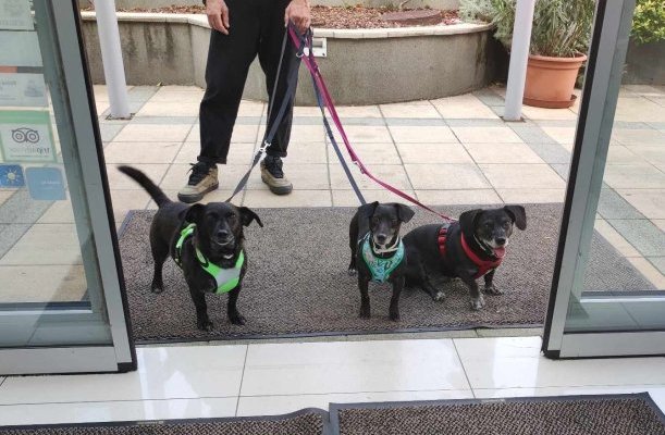 CE Plaza Hotel Siofok CE Plaza Hotel Siofok