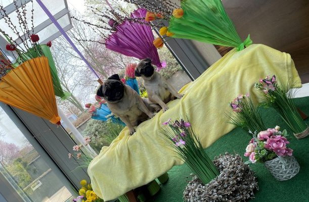 CE Plaza Hotel Siofok CE Plaza Hotel Siofok