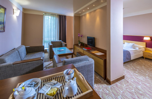 Dráva Hotel Harkany Dráva Hotel Harkany