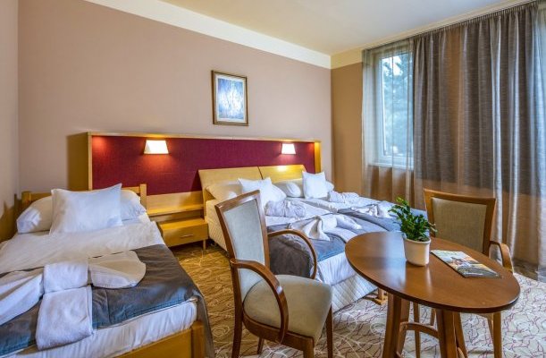 Dráva Hotel Harkany Dráva Hotel Harkany