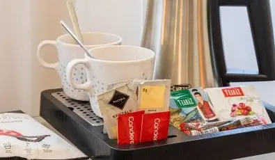 Erzsebet Kiralyne Hotel Godollo