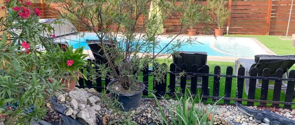 Mese Panzio Zalakaros