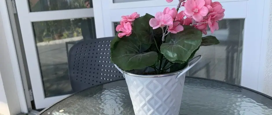 Mese Panzio Zalakaros