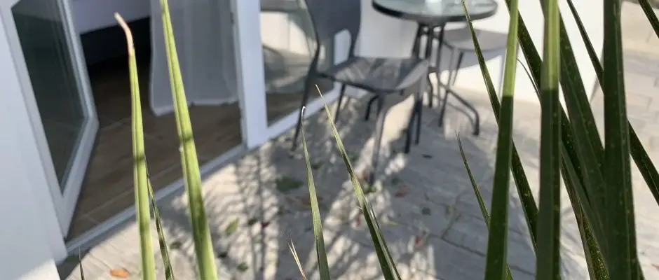 Mese Panzio Zalakaros