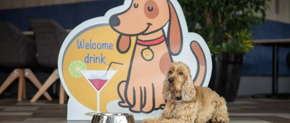 Gotthard Therme Hotel & Conference Szentgotthard