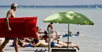 - Tagespreise mit Halbpension