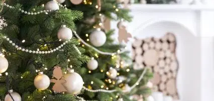 Akademia Hotel Balatonfred - Pakete fr Weihnachten in Ungarn
