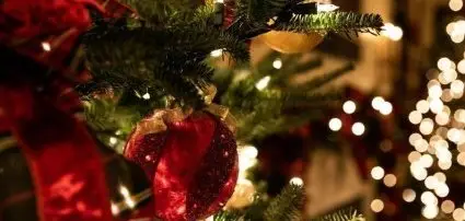 Hotel Bonvino Badacsony - Weihnachten in Ungarn