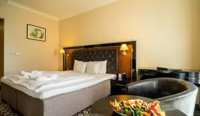 Hotel Castello & Thermal Spa Siklos