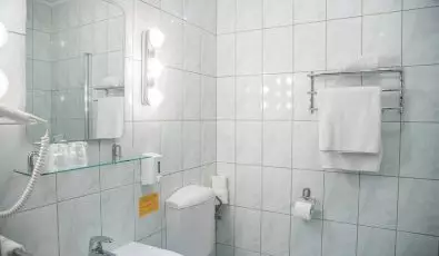 Hotel Erzsebet Heviz