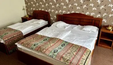Hotel Erzsebet Heviz