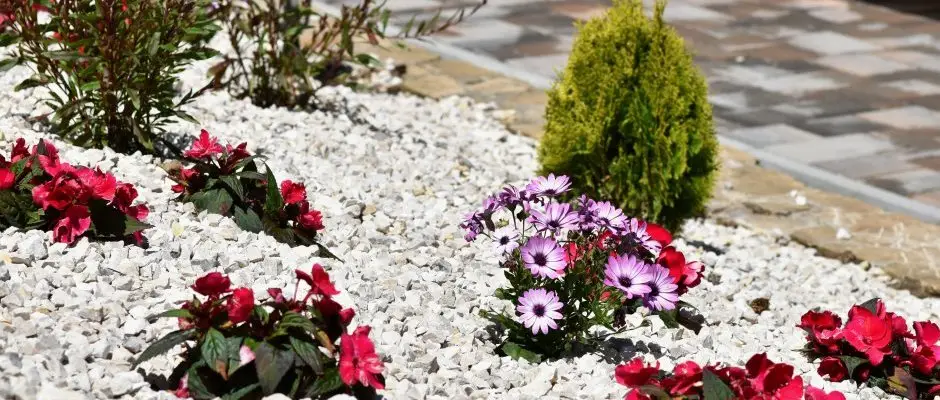 Hotel Forras Zalakaros