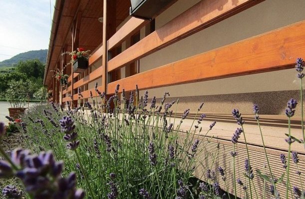 Hotel Halaszkert Badacsony Hotel Halaszkert Badacsony