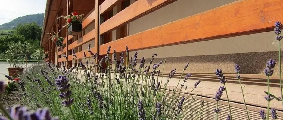 Hotel Halaszkert Badacsony