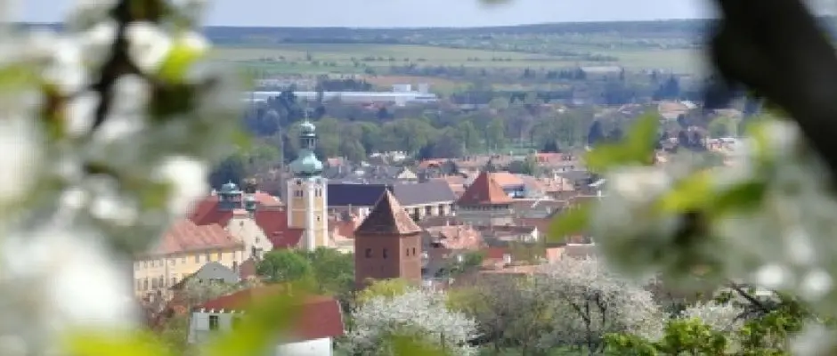 Hotel Irottko