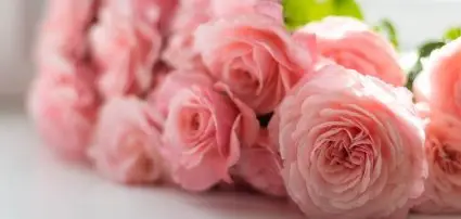 Hotel Majerik Hévíz - Pfingstpauschalangebote in Ungarn Hotel Majerik Hévíz - Pfingstpauschalangebote in Ungarn