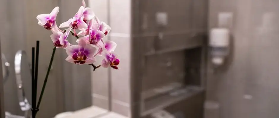 Hotel Margareta Balatonfred