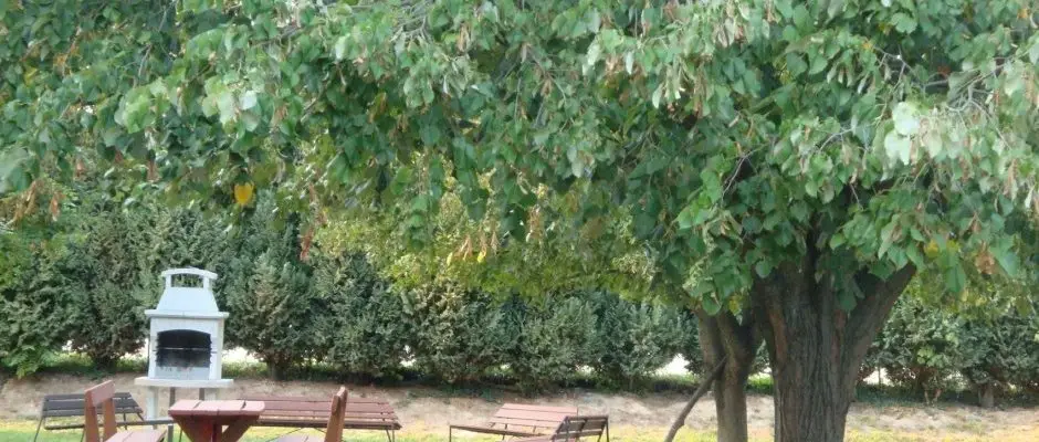 Hotel Napsugar Heviz