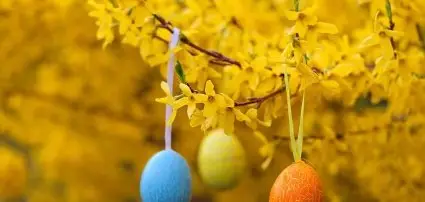 Hotel Ovit Keszthely - Pauschalangebote fr Osterwochenende Ungarn