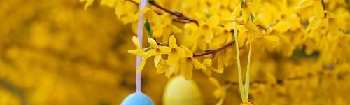 Hotel Ovit Keszthely