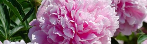 Hotel Ovit Keszthely