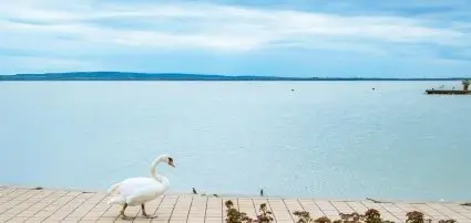 Hotel Ovit Keszthely - Wellness ajnlatok kt jszakra