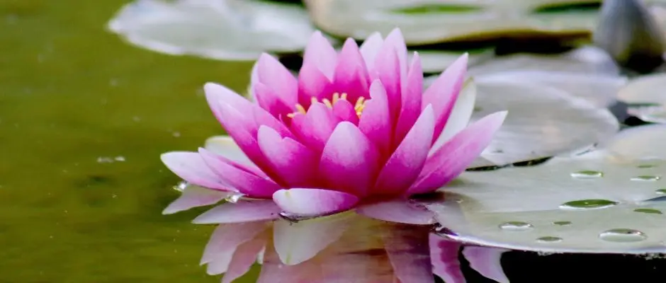 Hotel Ovit Keszthely