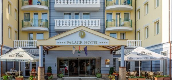 Hotel Palace  Heviz