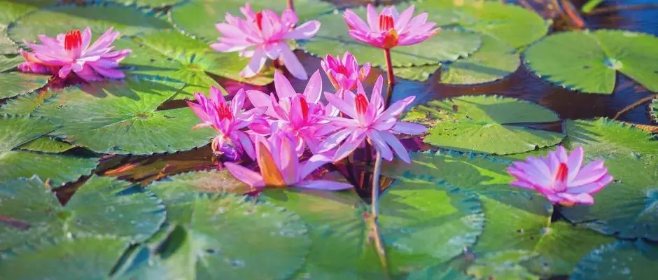 Hunguest Hotel Panorama Heviz