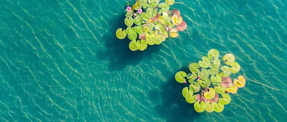 Hunguest Hotel Panorama Heviz