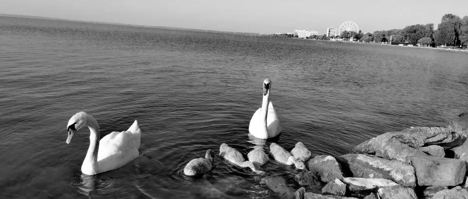 Premium Hotel Panorama Siofok