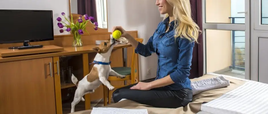 Premium Hotel Panorama Siofok